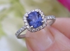 Cushion Cut Natural Blue Sapphire Engagment Ring with a real diamond halo in solid 14k white gold for sale