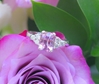 Natural Cushion Cut Light Pink Sapphire Wedding Ring with Real Side Diamond in 14k white gold