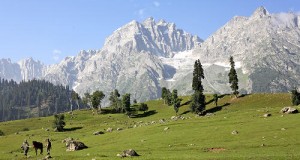 Kashmir - the Himalayas are in the background