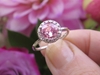 Peach Pink Natural Round Sapphire and Real Diamond Halo Ring set in simple white gold band for sale
