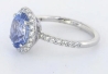 Cornflower blue Ceylon sapphire and diamond halo ring in white gold
