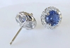 Natural Round Cornflower Blue Sapphire Earrings with Diamond Halo in 14k white gold