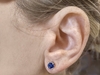 Genuine Round Sapphire Solitaire Earrings in 14k white gold. Navy blue.