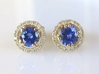 Yellow Gold Natural Sapphire Earrings - Round Cut Sapphires with a Diamond Halo set in 14k yellow gold