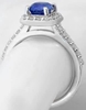 2.21 ctw Unheated Ceylon Sapphire and Diamond Ring in 14k white gold - SSR-5813