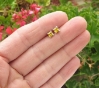 Real Princess Cut Yellow Sapphire Stud Earrings - White Gold for sale